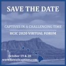 HCIC 2020 Virtual Forum